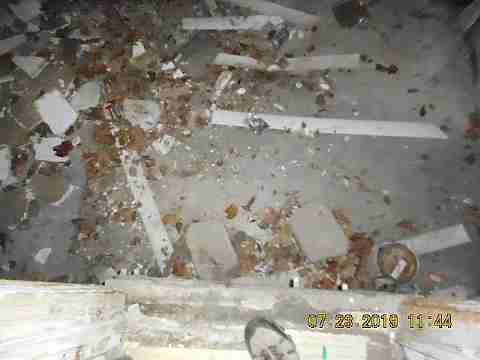 14739 Lappin (24)_m.jpg